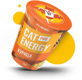 Cat energy pro 500 gram with chicken